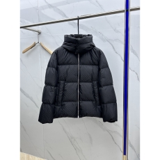 Louis Vuitton Down Jackets